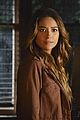 pll-loveshack