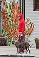 brody-reds
