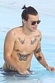 harry-again