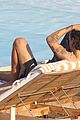 harry-again