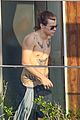 harry-again