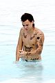 harry-rio