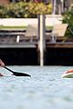 v-paddle1