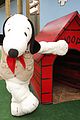 camp-snoopy