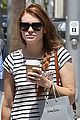 holland-max