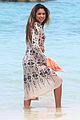 jasmine-aruba