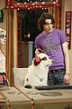 dog-howloween