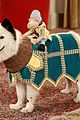dog-howloween
