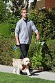 austin-dog