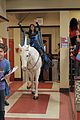 gmw-friendship