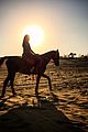 simpson-desert