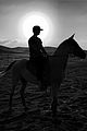 simpson-desert
