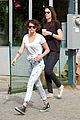 new-stewart
