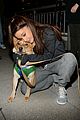 ariana-rescue