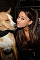 ariana-rescue