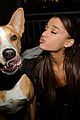 ariana-rescue