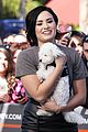 demi-regrets