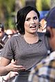 demi-regrets