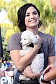 demi-regrets