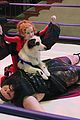 dog-wrestle