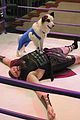 dog-wrestle