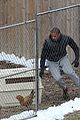 mbj-chickens1