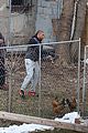 mbj-chickens1
