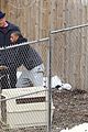 mbj-chickens1