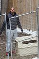 mbj-chickens1