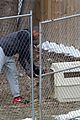 mbj-chickens1