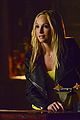 tvd-ian