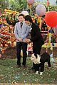 dog-holt