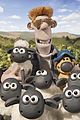 shaun-sheep