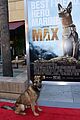 max-movie