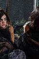 pll-prem