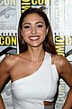 100-sdcc