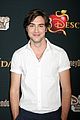 dove-mccartan