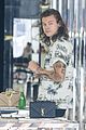 harry-sis
