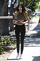 kendall-sugarc