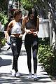 kendall-sugarc