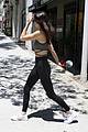 kendall-sugarc