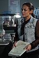 pll-rat