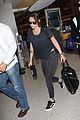 stewart-lax1