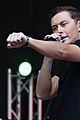 scotty-fox