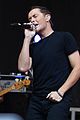 scotty-fox