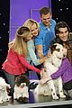 dog-finale