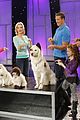 dog-finale