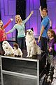 dog-finale
