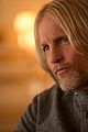 mockingjay-pics