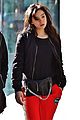 hailee-sampler